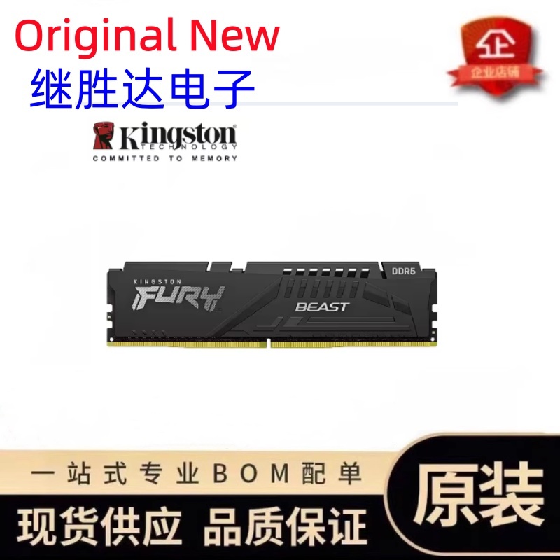 Kingston FURY Beast DDR5 Speic – Ddr5 32Gb Bewertung und Preis