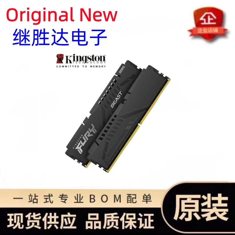 Kingston FURY Beast DDR5 Speic – Ddr5 32Gb Bewertung und Preis