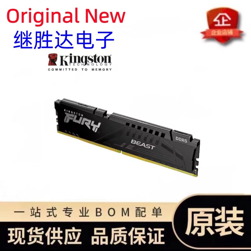Kingston FURY Beast DDR5 Speic – Ddr5 32Gb Bewertung und Preis