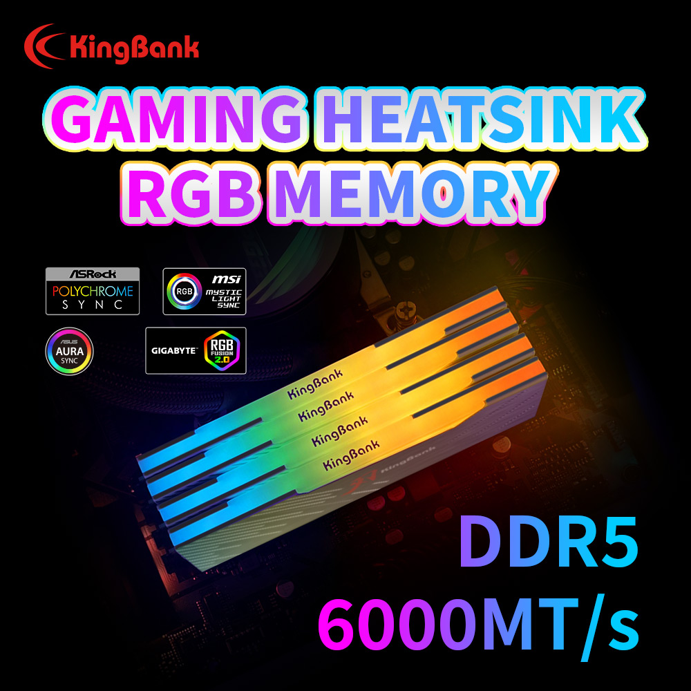 KingBank KRRB DDR5 RGB SoarBla – Ddr5 64Gb Bewertung und Preis