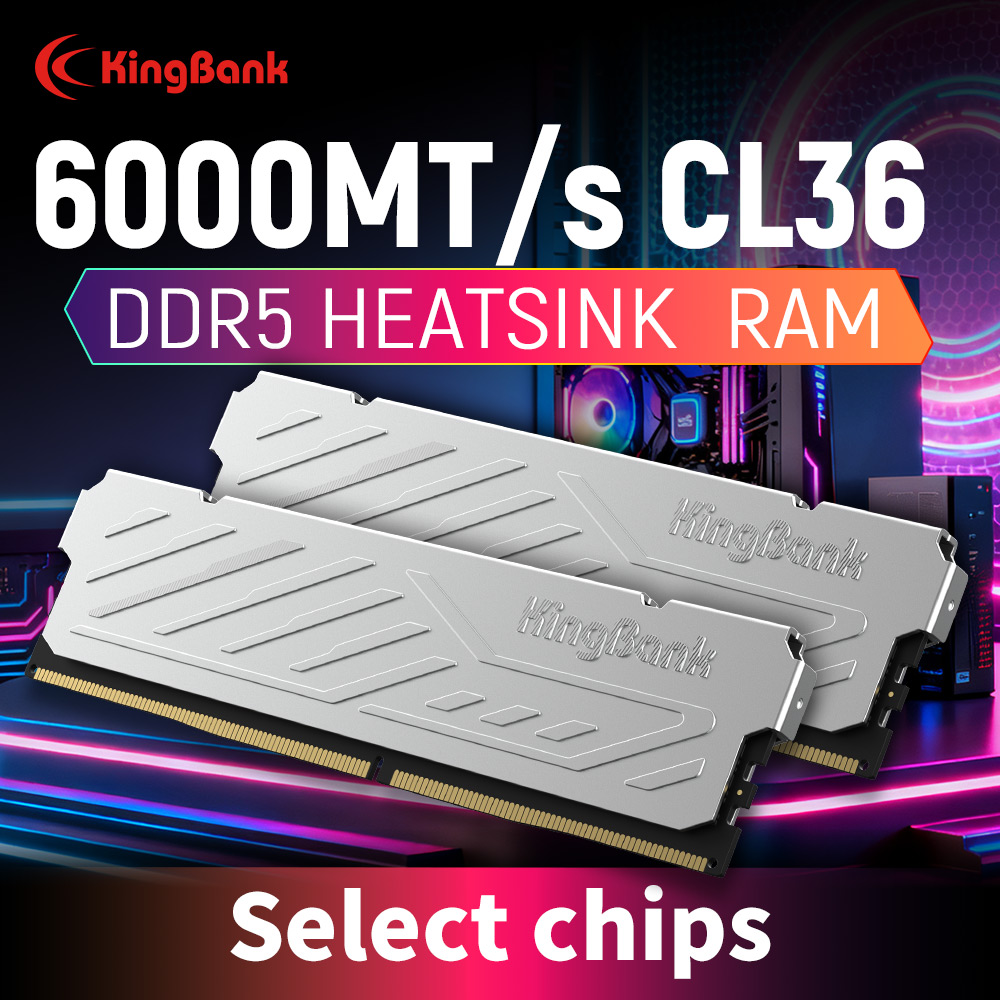 KingBank KJXS DDR5 RAM 16GB /  – Ddr5 16Gb 6000Mhz Bewertung und Preis