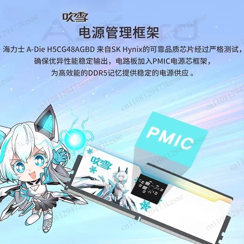 für Chuixue Co-Branded DDR5 DD – Ddr5 64Gb Bewertung und Preis