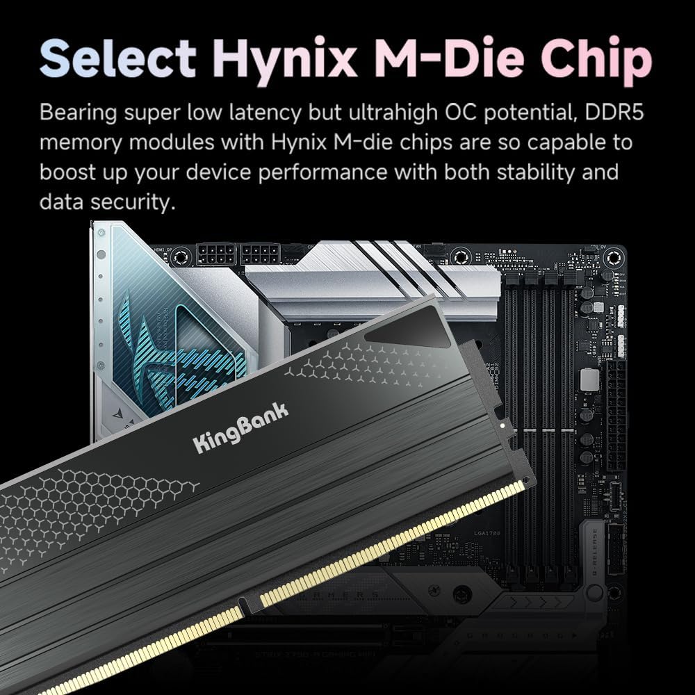 KingBank DDR5 KFXB Arbeitsspei – Ddr5 4800Mhz Bewertung und Preis